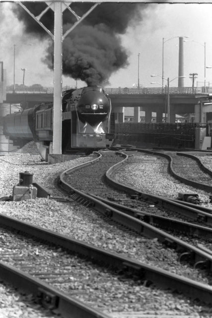 BLACK&WHITE NORFOLK WESTERN 611