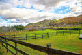 Autum Pic