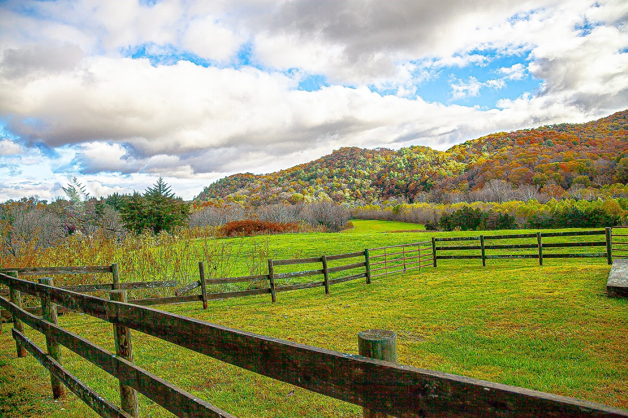 Autum Pic